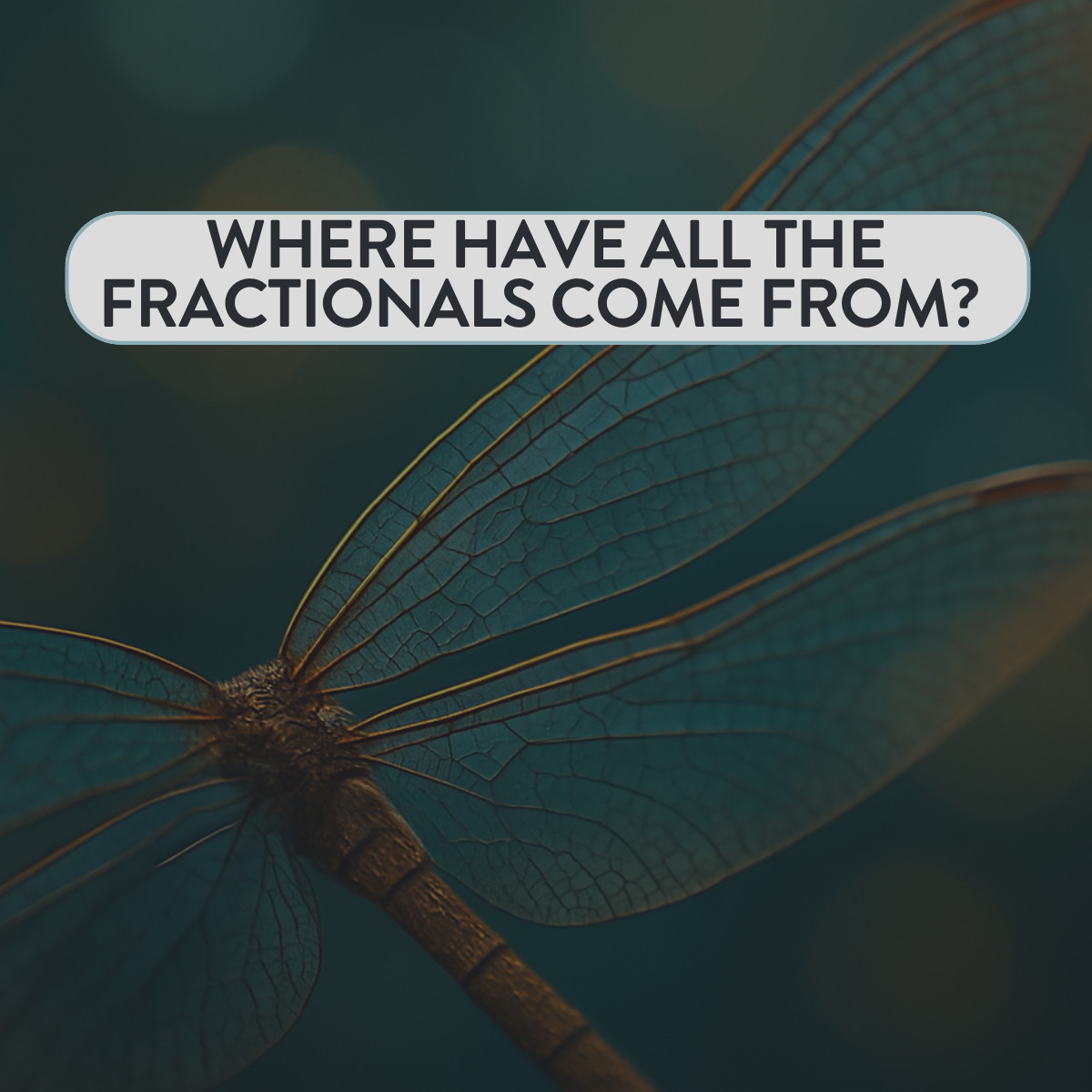 Where have all these fractional marketing leaders come from?